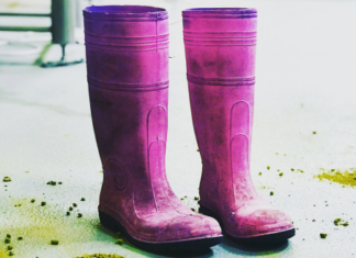 Goat Island Brewing to host female brewers on International Women’s Day