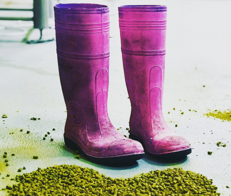 Goat Island Brewing to host female brewers on International Women’s Day