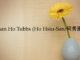 Obituary: Susan Ho Tubbs (Ho Hsiu-San/何秀珊)