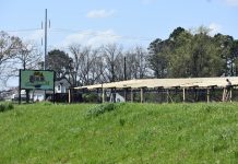 Berlin Farmers Market going up quickly