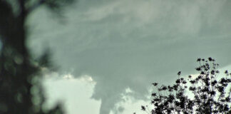 Tornado safety tips from State Farm Insurance