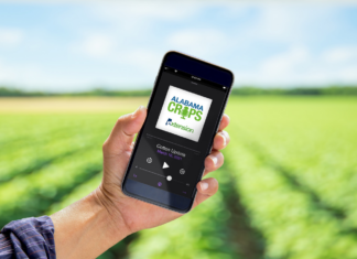 Alabama Extension launches Crops Report Podcast