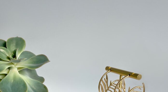 St. Paul’s Spring Flea Market to feature local shops, one-of-a-kind finds