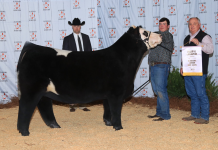 West Point’s Walker Johnson earns $4K scholarship at Alabama Farmers Federation 2021 Junior Beef Expo