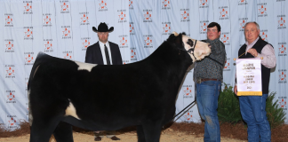 West Point’s Walker Johnson earns $4K scholarship at Alabama Farmers Federation 2021 Junior Beef Expo