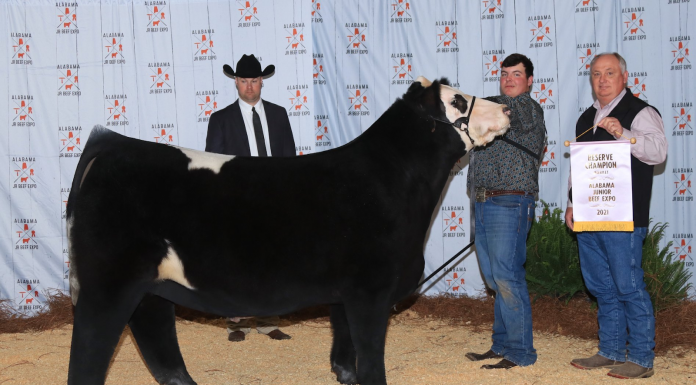 West Point’s Walker Johnson earns $4K scholarship at Alabama Farmers Federation 2021 Junior Beef Expo