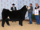 West Point’s Walker Johnson earns $4K scholarship at Alabama Farmers Federation 2021 Junior Beef Expo