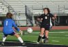 PREP SOCCER PLAYOFFS: Cullman downs Springville 4-0 in opening round