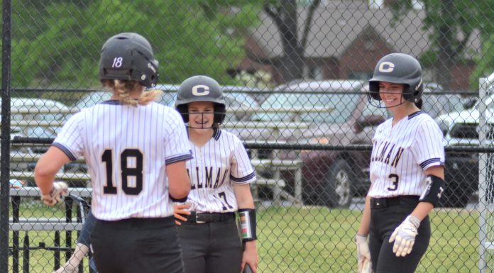 PREP SOFTBALL: Cullman downs Jasper 3-0 in regular season finale