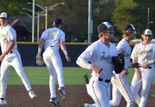 PREP BASEBALL: ‘Cats shut down Hartselle 2-0 to win 10th straight area title