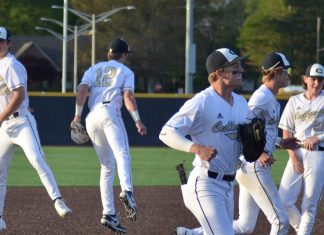 PREP BASEBALL: ‘Cats shut down Hartselle 2-0 to win 10th straight area title