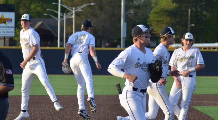 PREP BASEBALL: ‘Cats shut down Hartselle 2-0 to win 10th straight area title