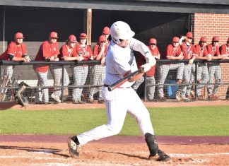 PREP BASEBALL: Warriors, Lady Warriors earn area wins over Lawrence Co.
