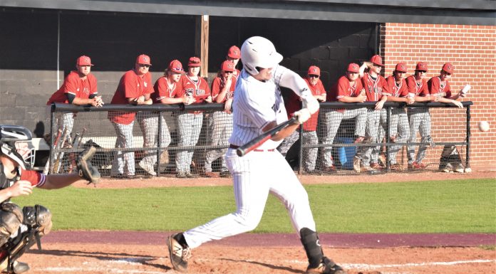 PREP BASEBALL: Warriors, Lady Warriors earn area wins over Lawrence Co.