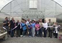 Gibbs Garden Center- In full bloom