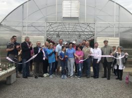 Gibbs Garden Center- In full bloom