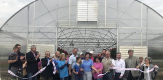 Gibbs Garden Center- In full bloom