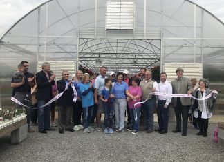 Gibbs Garden Center- In full bloom