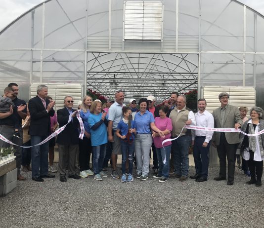 Gibbs Garden Center- In full bloom