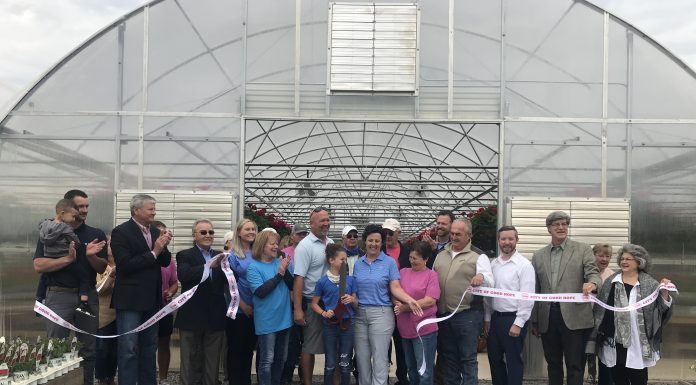Gibbs Garden Center- In full bloom