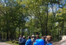 Cullman Caring for Kids holds awareness event at Heritage Park