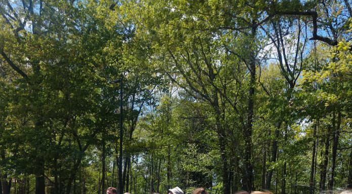 Cullman Caring for Kids holds awareness event at Heritage Park