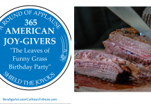 365 AMERICAN JOY-GIVERS for 2021: The Leaves of Funny Grass Birthday Party