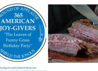 365 AMERICAN JOY-GIVERS for 2021: The Leaves of Funny Grass Birthday Party