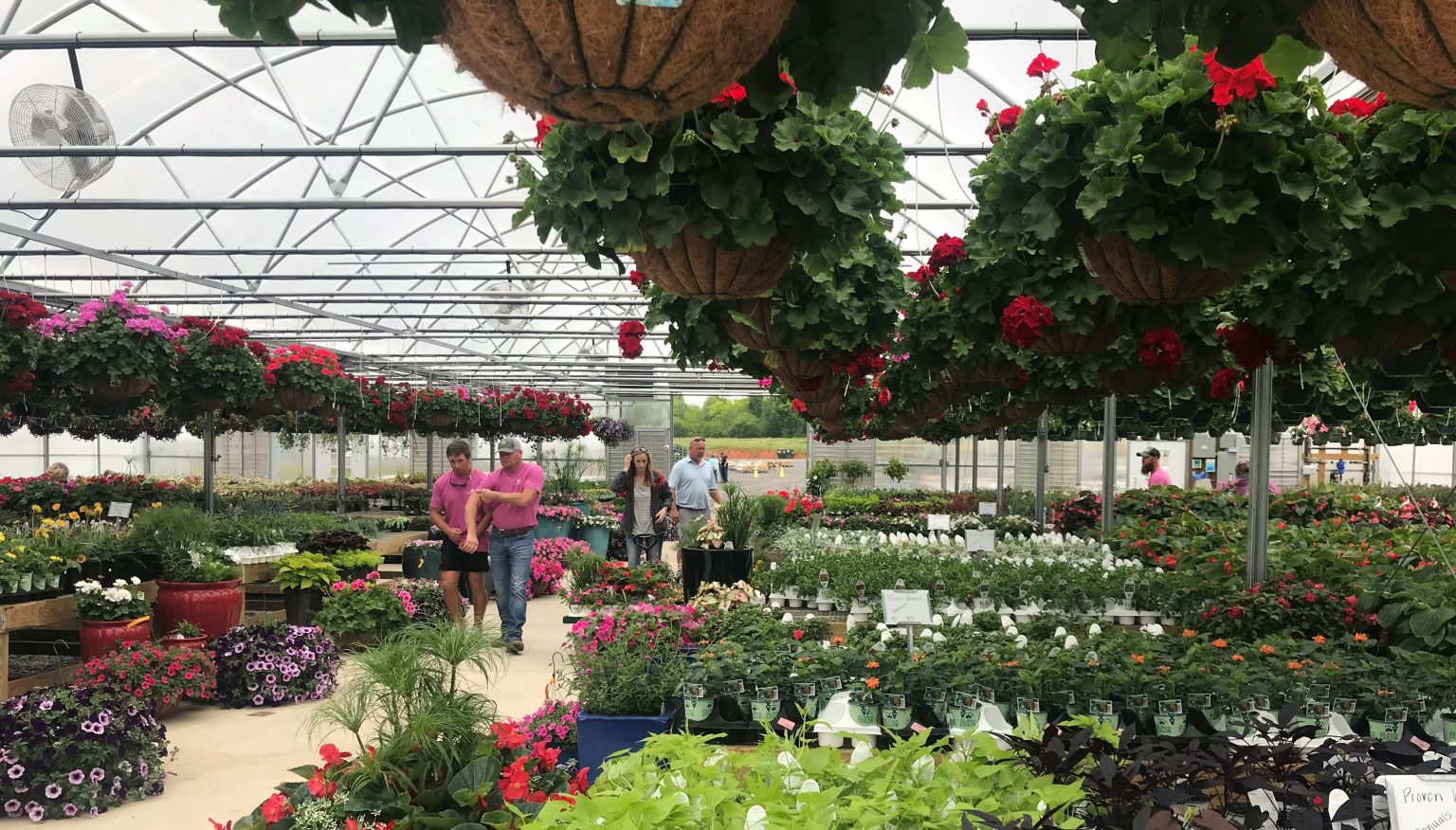 Gibbs Garden Center In full bloom The Cullman Tribune