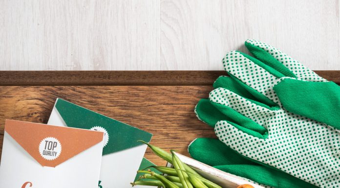 Purchasing seeds from online “yard sale” platforms