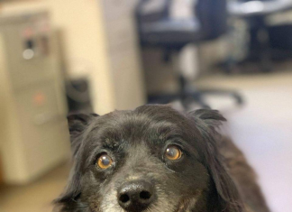 Pet of the Week: Relax with Mary!