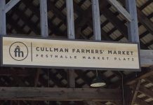 COVID-19 – Then and now