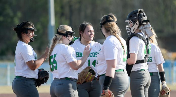 REGIONAL SOFTBALL TOURNAMENT: Holly Pond advances with 2-1 win over East Lawrence