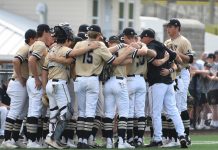 PREP BASEBALL PLAYOFFS: ‘Cats drop game 3 at Chelsea 7-2