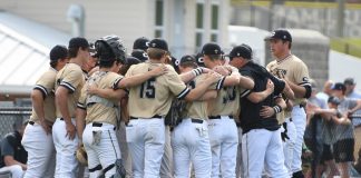 PREP BASEBALL PLAYOFFS: ‘Cats drop game 3 at Chelsea 7-2