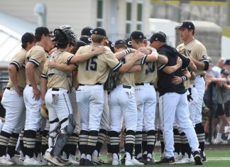 PREP BASEBALL PLAYOFFS: ‘Cats drop game 3 at Chelsea 7-2