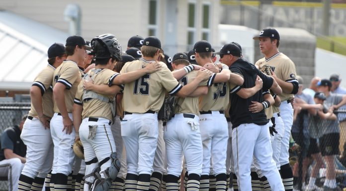 PREP BASEBALL PLAYOFFS: ‘Cats drop game 3 at Chelsea 7-2