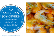 365 AMERICAN JOY-GIVERS for 2021: The Wonders of America Birthday Party