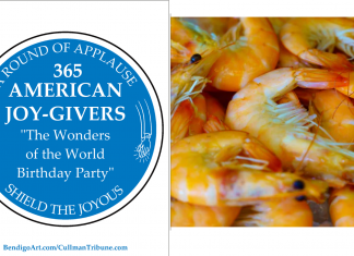 365 AMERICAN JOY-GIVERS for 2021: The Wonders of America Birthday Party