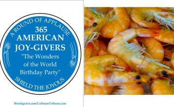 365 AMERICAN JOY-GIVERS for 2021: The Wonders of America Birthday Party