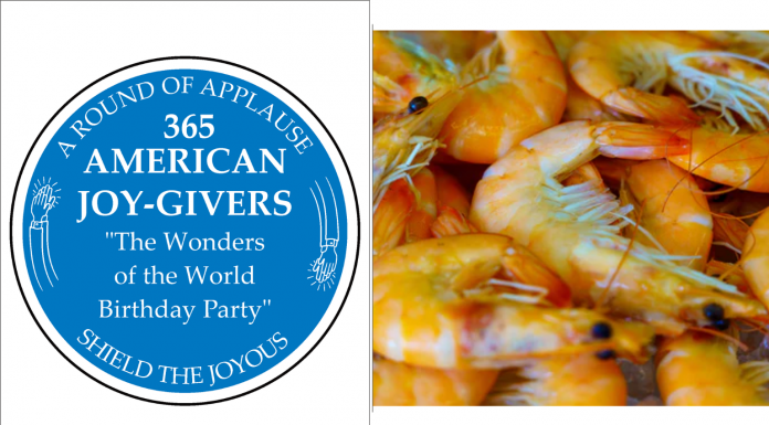 365 AMERICAN JOY-GIVERS for 2021: The Wonders of America Birthday Party