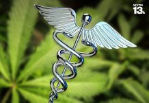 Alabama House approves medical marijuana bill