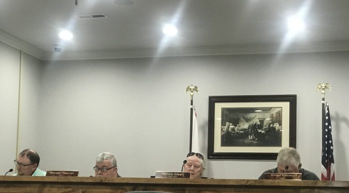 Baileyton Town Council member Dewayne Sumner continues to recover from accident; council discusses downed phone lines