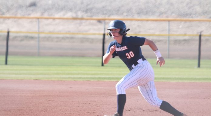 WSCC SOFTBALL: Season ends in NJCAA Division I National Championship quarterfinals after late Yavapai rally; Lions finish 55-6