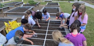 Math class heads to the garden at West Elementary
