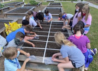 Math class heads to the garden at West Elementary