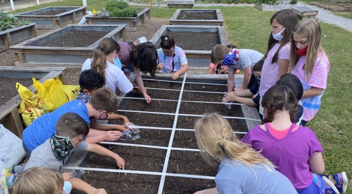 Math class heads to the garden at West Elementary