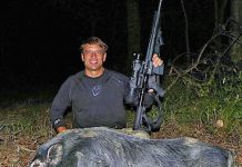 New license allows hunting of feral swine, coyotes at night