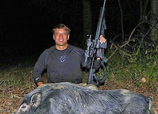 New license allows hunting of feral swine, coyotes at night