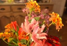 Mother’s Day: Local mothers share what they’d love the most!